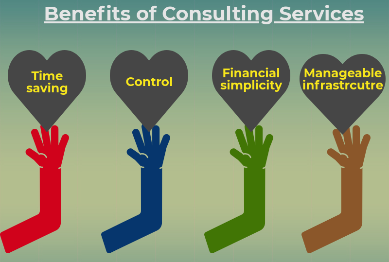 staff augmentation and conulting service